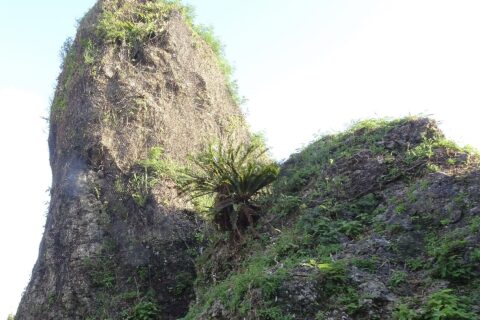 ワカリジー全景
