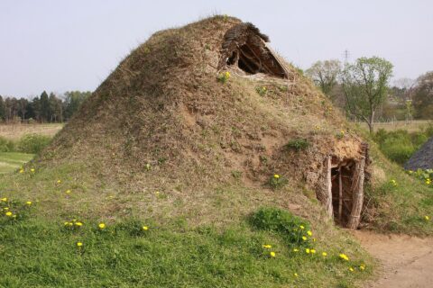 三内丸山遺跡復元土葺住居