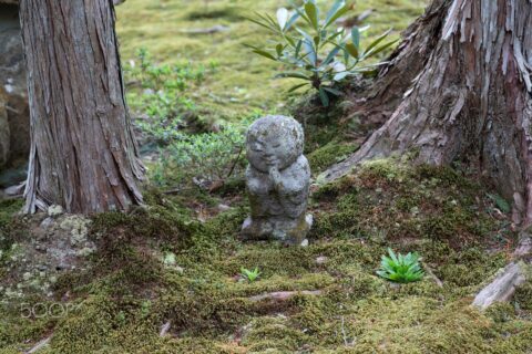 500px provided description: ??????????????/ Ojizo-sama(K?itigarbha) at garden of Sanzen-in temple. [#temple ,#garden ,#? ,#?? ,#?? ,#??? ,#?? ,#Kyoto ,#Ohara ,#?? ,#K?itigarbha ,#Sanzen-in]