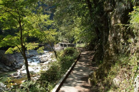 ​広島県安芸太田町の三段峡内にある遊歩道