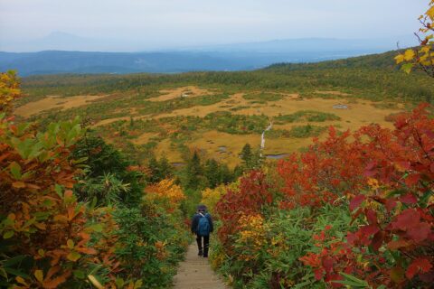 上毛無岱からの下毛無岱