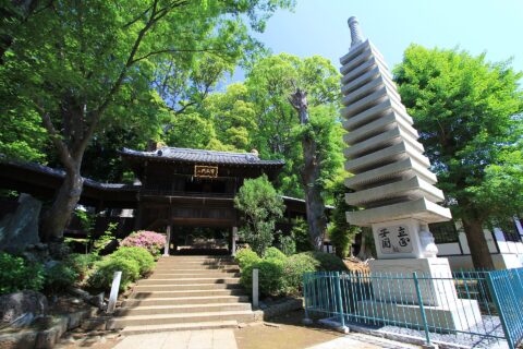 中山法華経寺