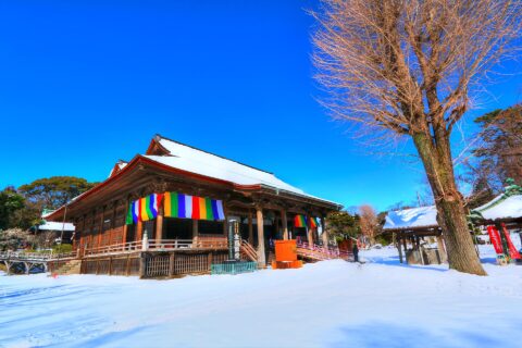 中山法華経寺