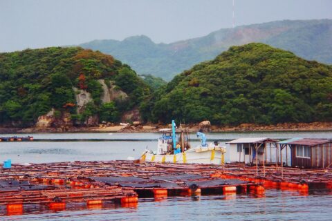 九十九島 Kujukushima (Ninety-nine Islands)