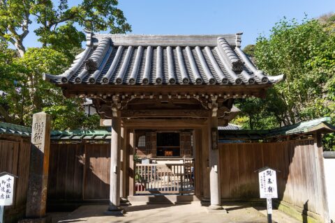 仏日庵の門