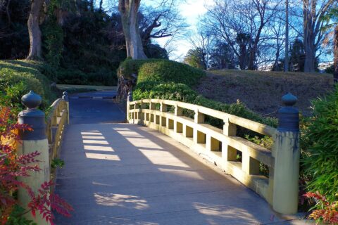 佐倉城址 両町橋 2015.1.02