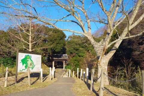 佐倉城址にて Sakura Castle 2015.1.02