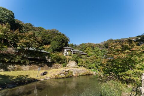 円覚寺妙香池（2022年11月）
