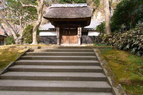 円覚寺居士林
