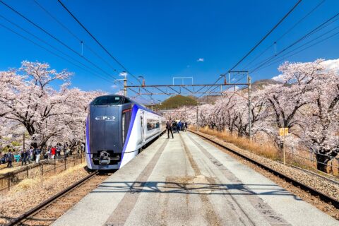 山梨県甲州市、勝沼ぶどう郷駅、桜、甚六桜、かいじ