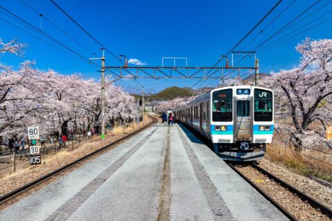 山梨県甲州市、勝沼ぶどう郷駅、甚六桜