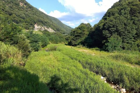 勝沼堰堤上部から撮影した日川。堰堤に整備された遊歩道から撮影した。