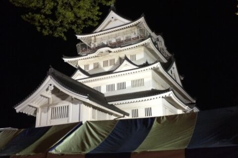 桜祭り•千葉城