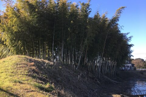 ​茨城県古河市にある古河城遺構のうち、桜町曲輪・獅子ヶ崎土塁の北側。土塁の形状が明瞭で水堀跡もある。獅子ヶ崎の先端（写真手前）は昭和51年に道路工事による切削を受けている