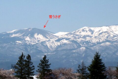 ​吾妻小富士の雪うさぎ