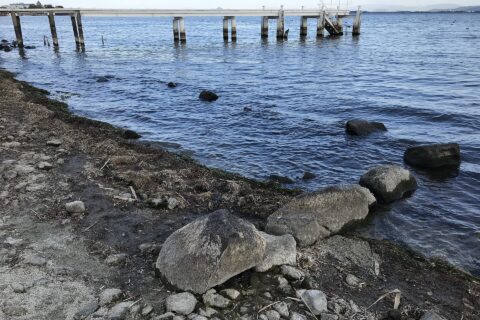 2021年11月の琵琶湖渇水時に水面から出た坂本城跡の石垣遺構