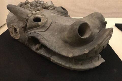 坂本城跡から出土した瓦。龍の頭を模ったもので、鯱瓦もしくは降り棟の先端に付けられた。