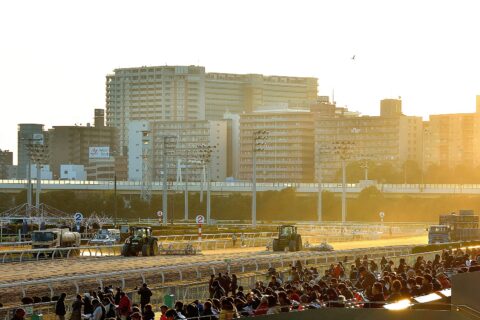 ​2015年12月31日に大井競馬場で、場内整備の風景と、思い思いに過ごしている観客風景を撮影したもの。プライバシー保護のため、一部モザイク加工を施しています。