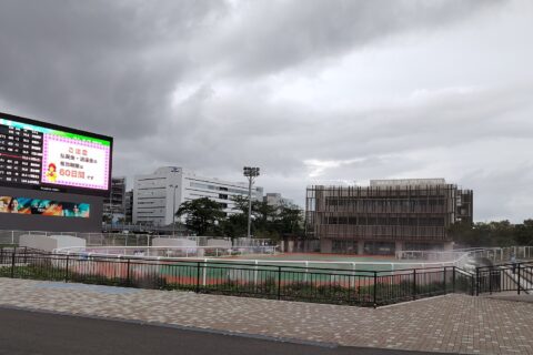 大井競馬場パドック。
