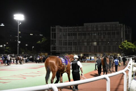 大井競馬場パドック（2024）
