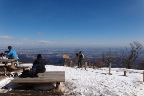 ​大山山頂広場から伊勢原の眺め
