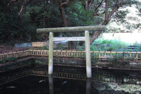 ​大洗磯前神社 神池