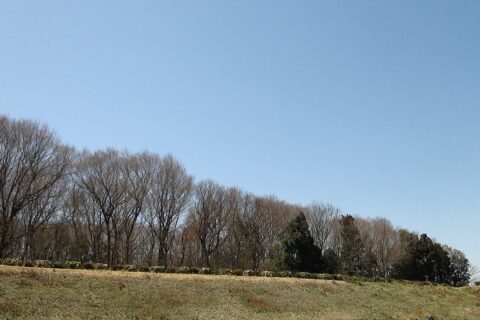 宇都宮飛山城史跡公園