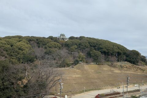 2022年1月15日午後0時45分撮影