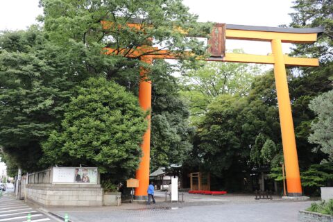 ​川越冰川神社大鳥居
