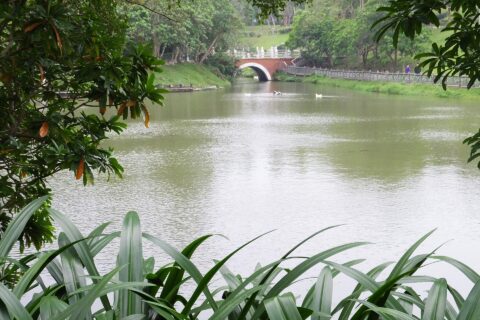 後山埤 Houshan Lake