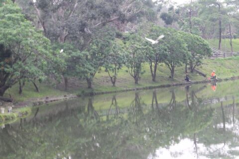 後山埤 Houshanpi Lake
