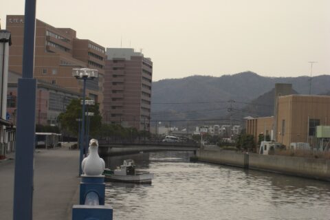 ​自分の携帯から撮影しました。山城橋の上からみた御座船入江川です。左には徳島文理大学が見えます。