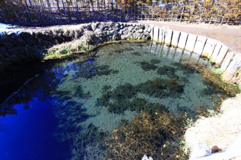 忍野八海、銚子池