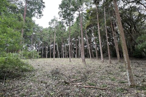 2022年9月22日撮影
