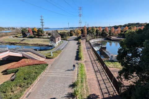 手賀沼にきれいな水を流す(北千葉第二機場から撮影)