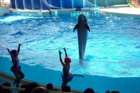 新江ノ島水族館