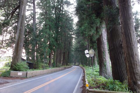 日光杉並木街道 20130522