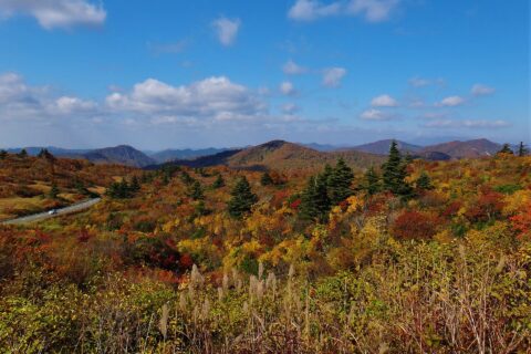 ​栗駒山荘付近からの紅葉の景色