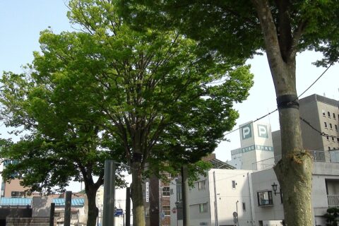 水戸芸術館