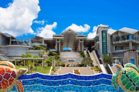沖縄美ら海水族館