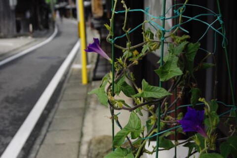 湯浅
