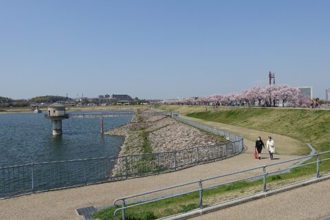 ​2021年春の桜開花時