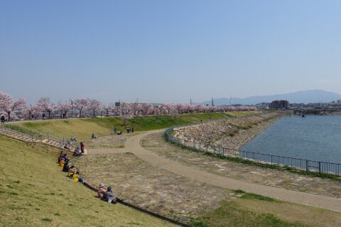 2021年春の桜開花時