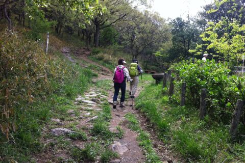 生駒山ハイキングコース(Mount Ikoma hiking course)