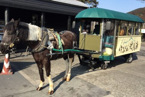 由布院駅前の観光用馬車