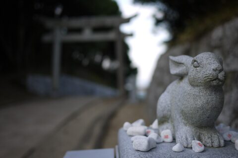 白兎神社