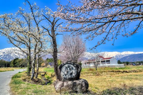 長野県北安曇郡白馬村、桜、道祖神