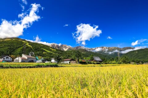 ​長野県北安曇郡白馬村、北アルプス、白馬三山、エコーランド