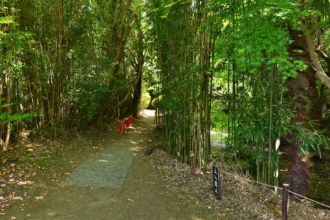 磐城平城跡・小路