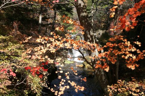 竜頭の滝